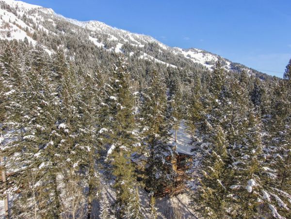 Spacious Five Bedroom Vacation Rental in Teton Village